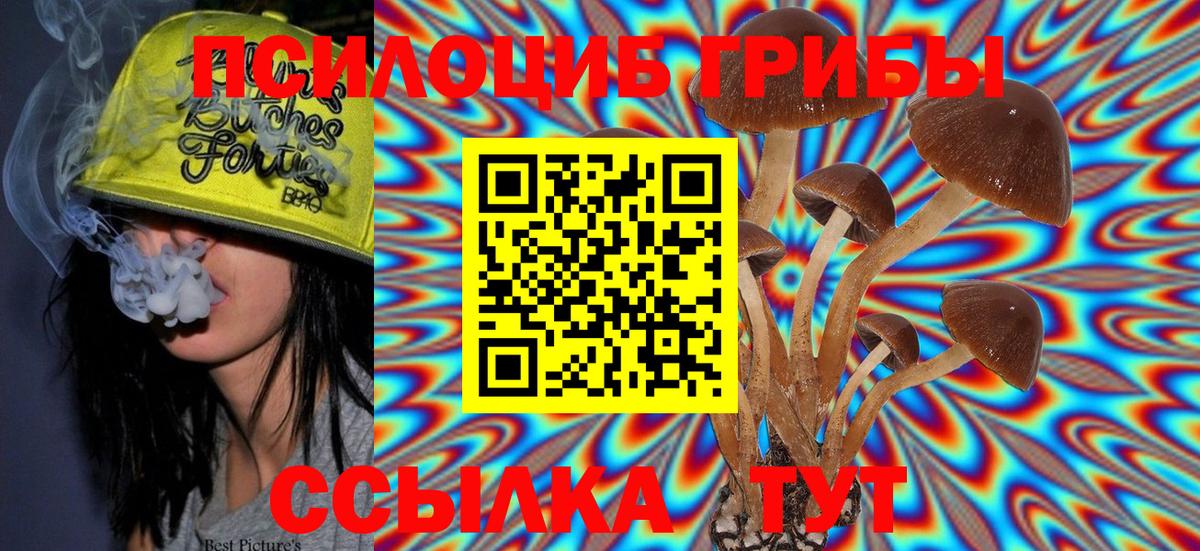 Галлюциногенные грибы MAGIC MUSHROOMS Владикавказ