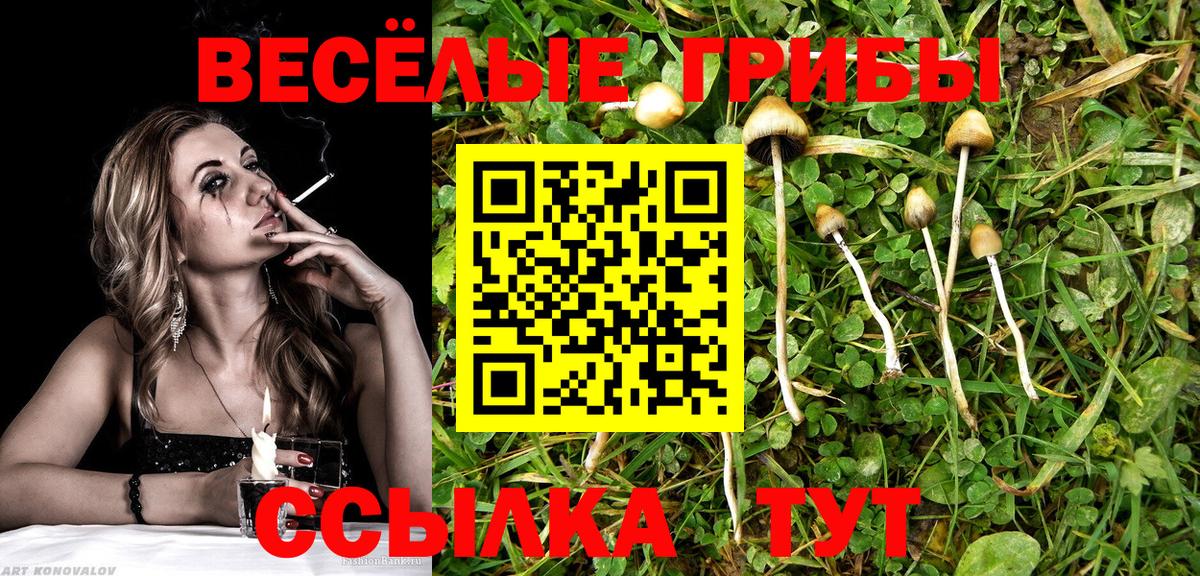 Владикавказ  Псилоцибиновые грибы GOLDEN TEACHER  Псилоцибиновые грибы Psilocybe  Вход с VPN 