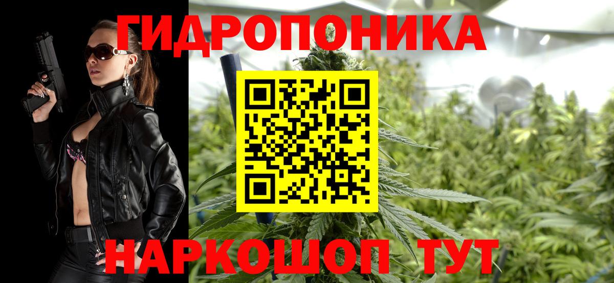 Шишки марихуана планчик Владикавказ
